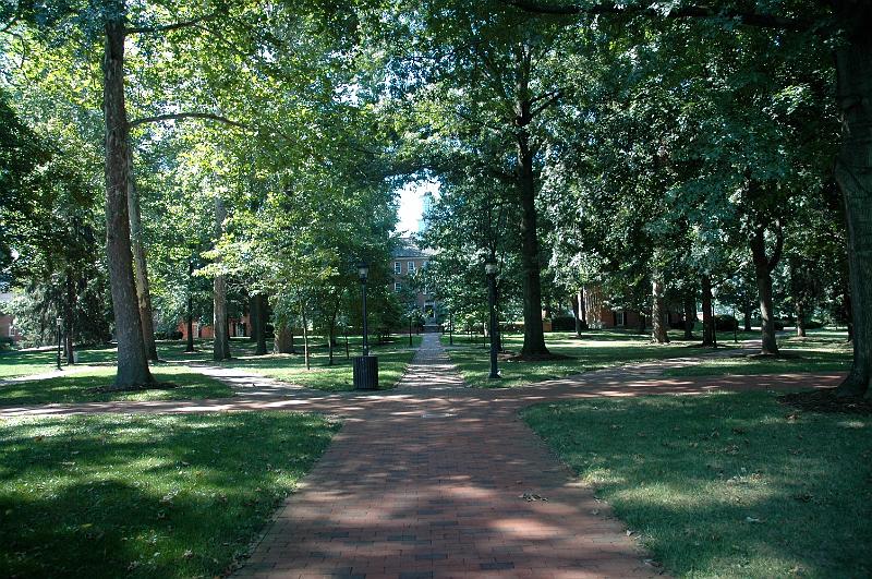 DSC_0303.jpg - College Green