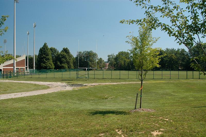 DSC_0362.jpg - West Green-Football Stadium