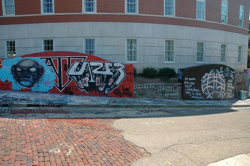 DSC_0382.jpg - West Green-Graffiti Wall